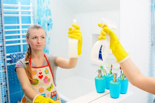 Professional stain removal service for carpets and upholstery in Belsizepark