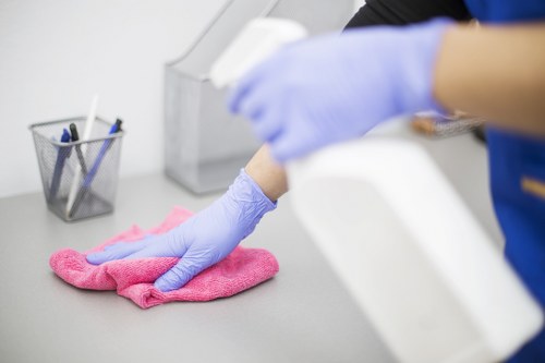 Professional pet stain and odour cleaning in a Belsizepark home