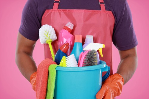 Cleaning carpet and upholstery affected by pet urine in Belsizepark