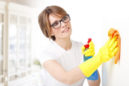 Deep carpet cleaning equipment used in a Belsizepark flat or apartment