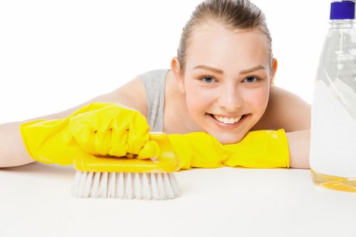 Hard floor cleaning preparation in a Belsizepark residential property