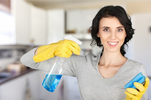 Final property cleaning before handover in Belsizepark