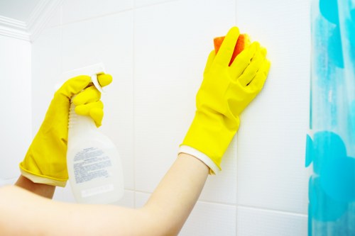 Deep cleaning support for a Belsizepark apartment