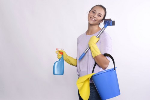 Deep sofa cleaning for a family home in Belsizepark
