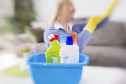 Professional deep cleaning in a Belsizepark bathroom