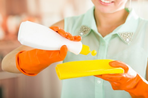 Local cleaner maintaining a Belsizepark flat with period features