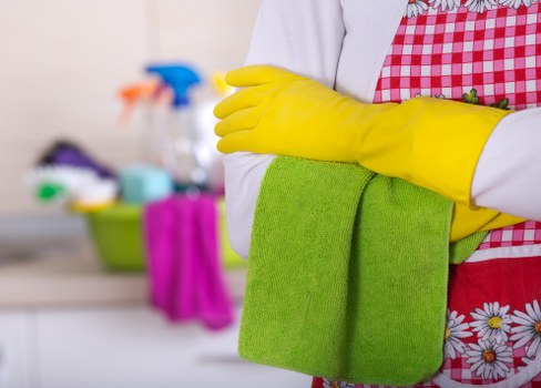 Cleaning professional using safe methods inside a home