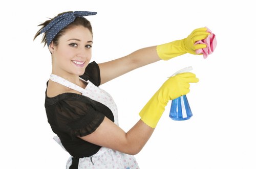 Professional window cleaning for a flat in Belsizepark