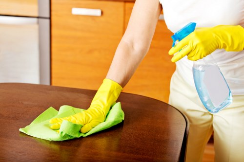 Regular home cleaning in a Belsizepark residential property